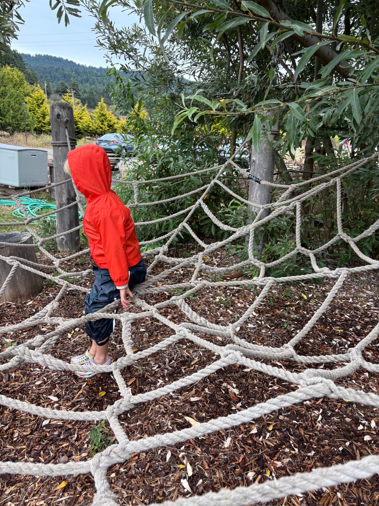 A child in a red rain jacket balancing on a rope spiderweb under the trees